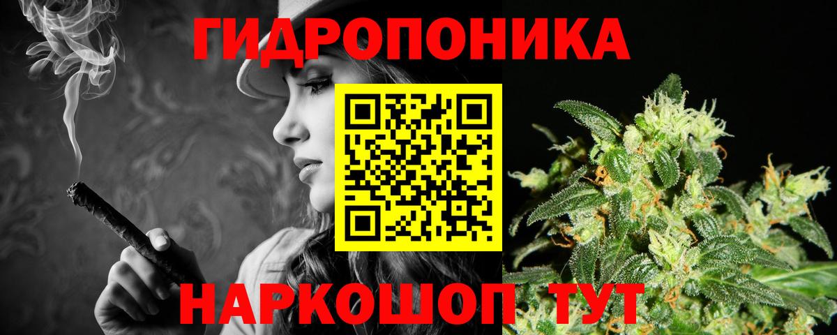 Шишки марихуана конопля Кострома